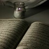 لوگوی کانال تلگرام wtkepd — أحب مصيرك🤍