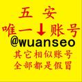 Logo saluran telegram wuanseo0 — 寄生虫排名-泛目录排名-百度外推排名