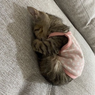 Логотип телеграм канала @wusqez — океан мыслей