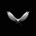 Logo saluran telegram wweagleglobal — WW Eagle |Chanel