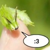 Логотип телеграм канала @wwolchaa — wwolchaa🐛