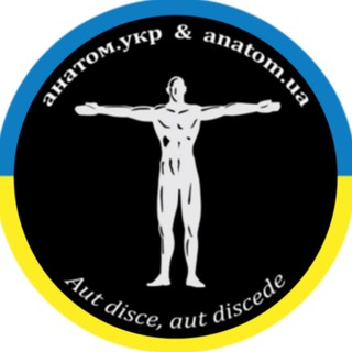 Логотип телеграм -каналу www_anatom_ua — #anatom.ua