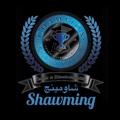 Logo saluran telegram www_exzam_2 — شاومينج - shawming