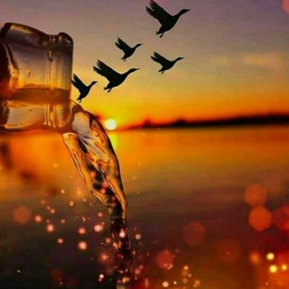 لوگوی کانال تلگرام wwwmnn — ❀انَاقًـ❀ـةِ❀فَـــكِــرَ❀❥