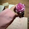 شعار قناة تلجرام wxlls23 — 𝑭𝒍𝒊𝒇𝒐