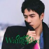 电报频道的标志 wyb_085 — Only Wang Yibo