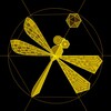 Логотип телеграм канала @x117_lab_geom — X117 | DIY Geometry Lab