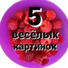 Логотип телеграм канала @x128500 — 5 ВЕСЁЛЫХ КАРТИНОК