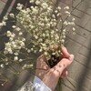 لوگوی کانال تلگرام x_603 — ​• سـالـفـة وگـمـرة •
