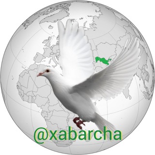 Telegram kanalining logotibi xabarcha — 🕊 @xabarcha