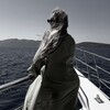 Логотип телеграм канала @xachicks — хаchicks.com