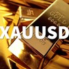 Logo of telegram channel xauusdprosignal7 — XAUUUSD