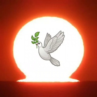 Logo des Telegrammkanals xavier_naidoo - Nichts Neues unter der Sonne - Wir mit Herz für Xavier Naidoo 🎧