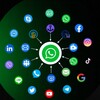 Telegram channel ws群发🔥ws蓝标号🔥ws白标号🔥ws龙虾号 logo