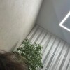 Логотип телеграм канала @xegufd — ксегуф