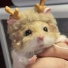 Логотип телеграм канала @xeviquiz — RenTV