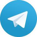 Telegram channel 盘口直招助理 logo