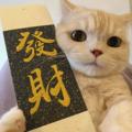 Telegram channel MiYouShi王者免费公益内核 logo
