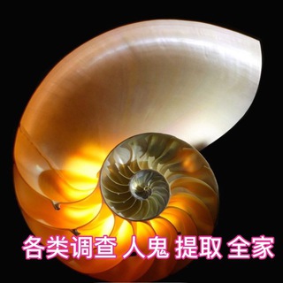 电报频道的标志 xiaohaoluo — 小海螺 调查 查询 各类隐私