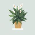 لوگوی کانال تلگرام xiiilll — اللهُم حُبك☁️🌿.