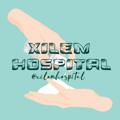 Logo saluran telegram xilemhospital — 𝗫𝗜𝗟𝗘𝗠 𝗛𝗢𝗦𝗣𝗜𝗧𝗔𝗟
