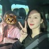 Telegram channel 🌸飞机汉化🌸 logo