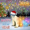 Логотип телеграм канала @xingqiusbiggestfan — Новогодний Цюшик🎄🎄🎄🥳🥳🥳🎉🎉🎉💙💙💙