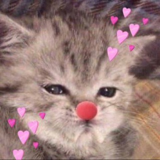 Логотип телеграм канала @xixikoshnaya — Хихикошная 🤡