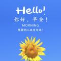 Logo saluran telegram xm668886 — 厦门外围（小花花）