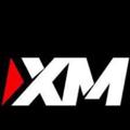 Logo saluran telegram xmforexsignai — XM Forex Broker
