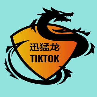 Logo of telegram channel xml_com — 迅猛龙TK跨境电商达人私信邀约系统频道