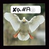 Логотип телеграм канала @xoma_a — Хома😶‍🌫️