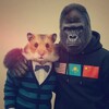 Логотип телеграм канала @xomaelik — хомелик фандом