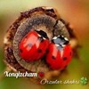 Telegram kanalining logotibi xonqizca — •𝑋𝑜𝑛𝑞𝑖𝑧𝑐ℎ𝑎𝑚🐞| 𝑂𝑟𝑧𝑢𝑙𝑎𝑟 𝑠ℎ𝑎ℎ𝑟𝑖🌼