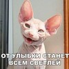 Логотип телеграм канала @xoxmanews — ХОХМА