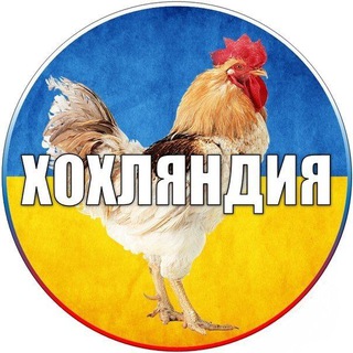 Логотип телеграм -каналу xoxol_net — ХОХЛЯНДИЯ В УКРОПЕ 🚨