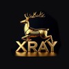 Logo of telegram channel xray_cloud — XRAY CLOUD | خدمات