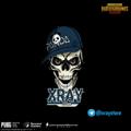 Logo saluran telegram xraystore — XRAYSTORE PUBG MY🇲🇾