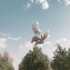 Логотип телеграм канала @xristos003 — зæрдæ|мысли христианки.
