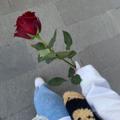 لوگوی کانال تلگرام xsot9 — 🪐✨