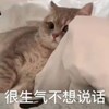 电报频道的标志 xuans23 — 曝光悬赏征集