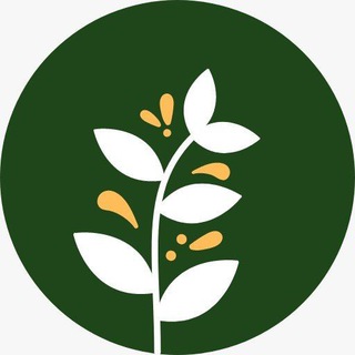 电报频道的标志 xuetang — 法情学堂-课程通知