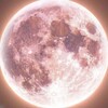 Логотип телеграм канала @xwxxll3 — храбрая сердцем.