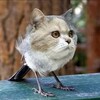 Логотип телеграм канала @xx_autism — люфдокс