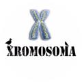 Logo saluran telegram xxroma — XROMOSOMA 2.0