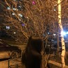 Логотип телеграм канала @xxx_ffkk — x^^xx