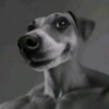 Логотип телеграм канала @xzqwkanba — Xzqwka NBA 2K14
