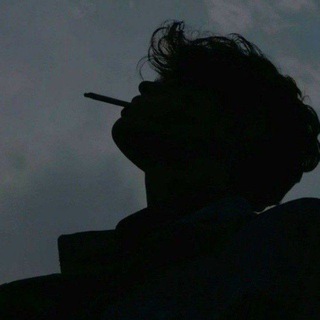 Telegram арнасының логотипі y_8_c — 🦇 .