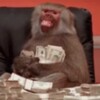 Telegram channel Monkey Trade logo