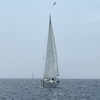 Логотип телеграм канала @yacht_with_michael — Яхтинг с Мишей
